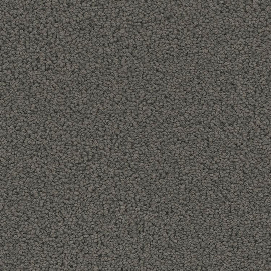 Phenix Floor Ever Pet Plus 12' Mateo Carpet Tile