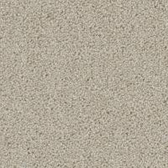 Phenix Floor Ever Pet Plus 12' Balboa Carpet Tile