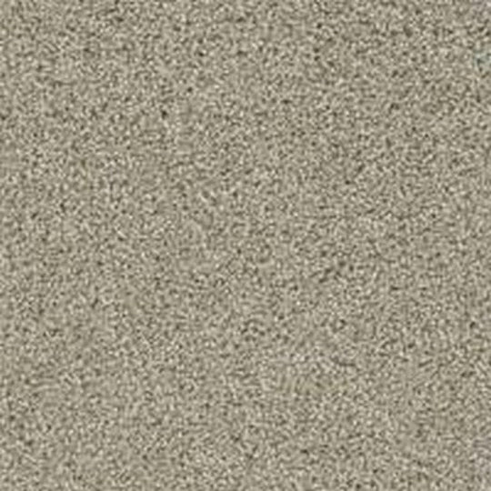 Phenix Floor Ever Pet Plus 12' Balboa Carpet Tile