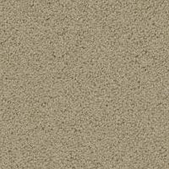 Phenix Floor Ever Pet Plus 12' Balboa Carpet Tile