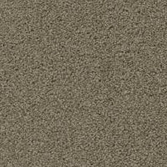 Phenix Floor Ever Pet Plus 12' Balboa Carpet Tile