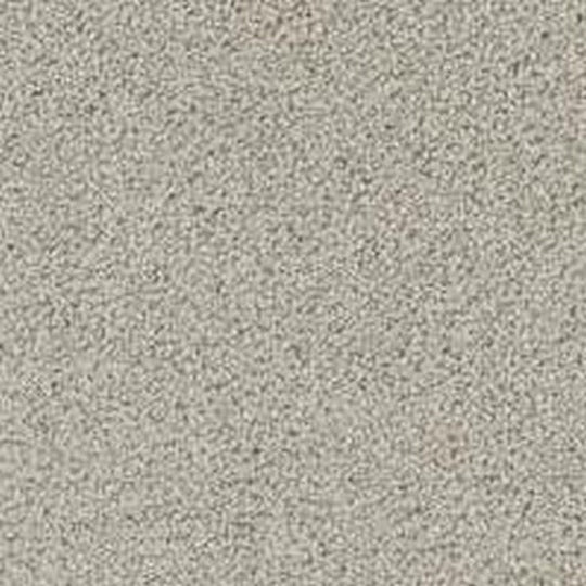 Phenix Floor Ever Pet Plus 12' Balboa Carpet Tile