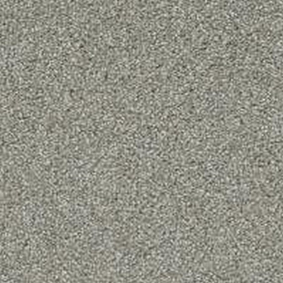 Phenix Floor Ever Pet Plus 12' Balboa Carpet Tile