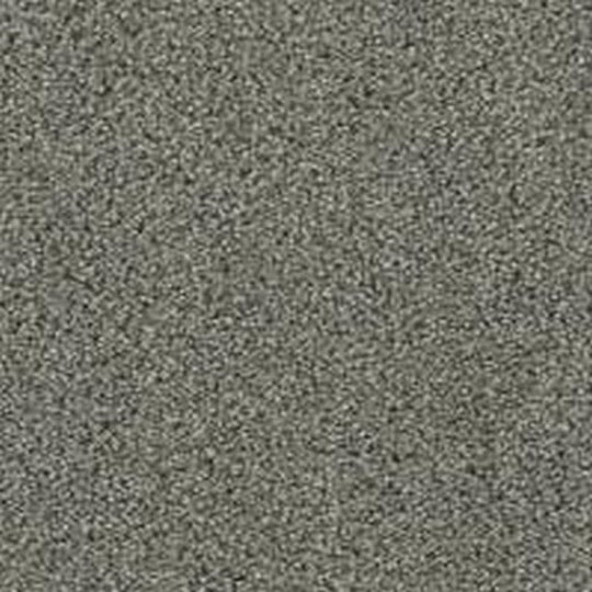 Phenix Floor Ever Pet Plus 12' Balboa Carpet Tile