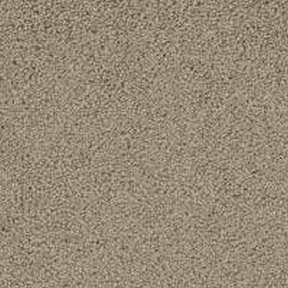 Phenix Floor Ever Pet Plus 12' Lido Carpet Tile