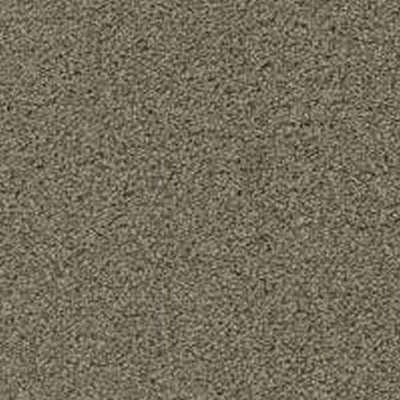 Phenix Floor Ever Pet Plus 12' Lido Carpet Tile