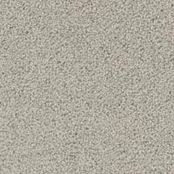 Phenix Floor Ever Pet Plus 12' Lido Carpet Tile