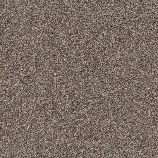 Phenix Floor Ever Pet Plus 12' Portofino Carpet Tile