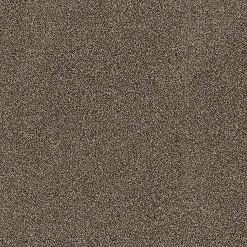 Phenix Floor Ever Pet Plus 12' Portofino Carpet Tile