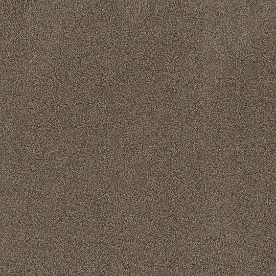 Phenix Floor Ever Pet Plus 12' Portofino Carpet Tile