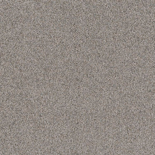 Phenix Floor Ever Pet Plus 12' Portofino Carpet Tile