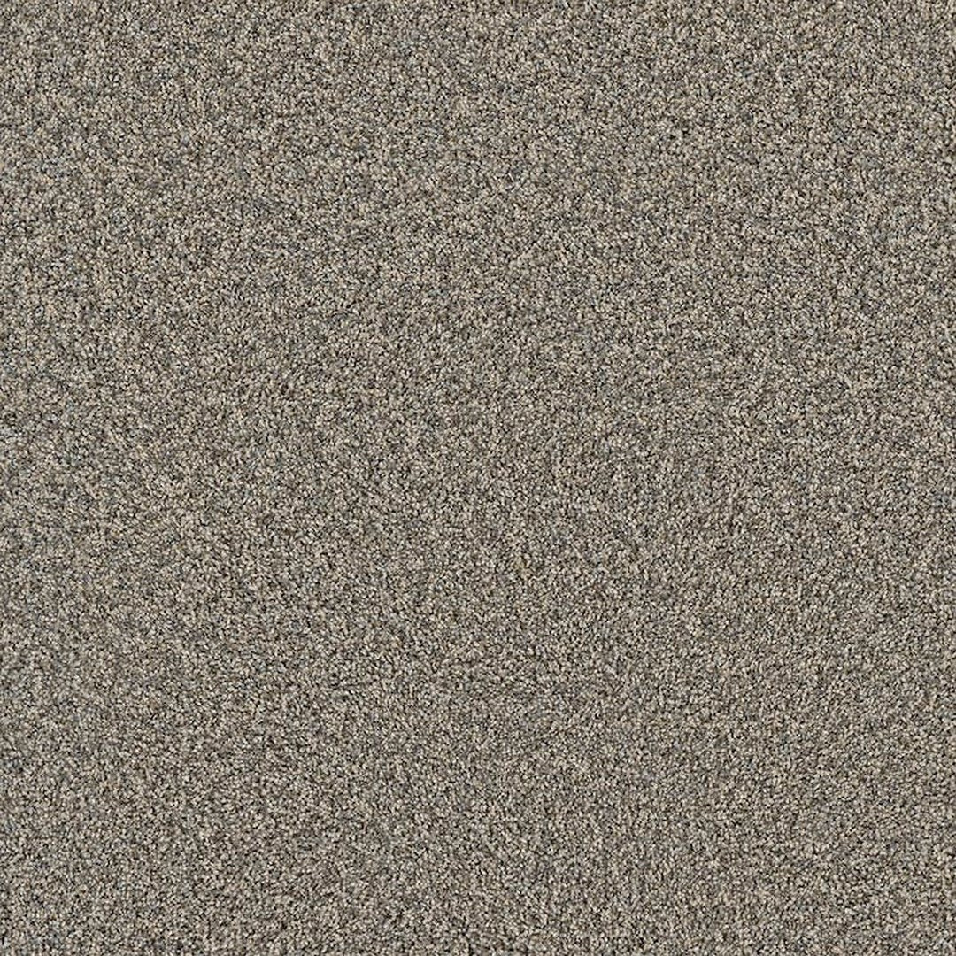 Phenix Floor Ever Pet Plus 12' Portofino Carpet Tile