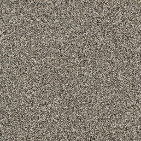 Phenix Floor Ever Pet Plus 12' Portofino Carpet Tile