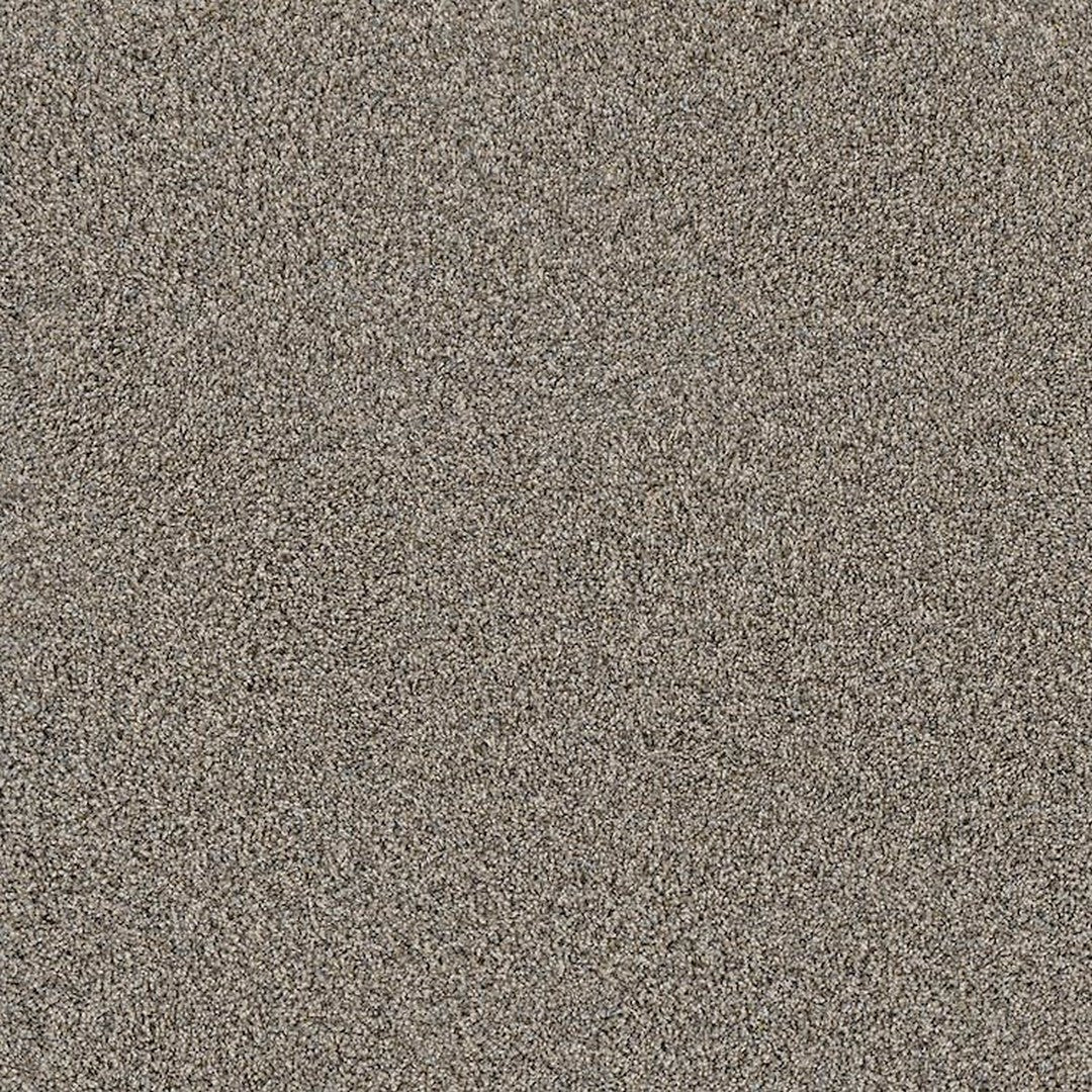 Phenix Floor Ever Pet Plus 12' Portofino Carpet Tile