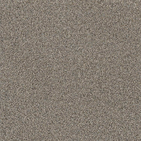 Phenix Floor Ever Pet Plus 12' Portofino Carpet Tile