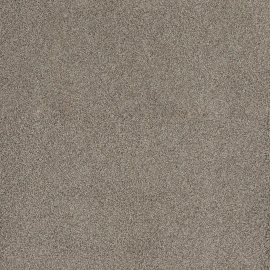 Phenix Floor Ever Pet Plus 12' Portofino Carpet Tile