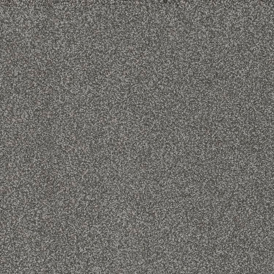 Phenix Floor Ever Pet Plus 12' Portofino Carpet Tile