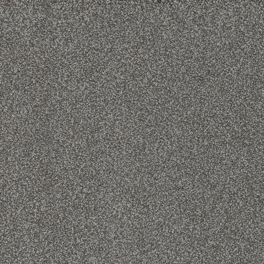 Phenix Floor Ever Pet Plus 12' Portofino Carpet Tile