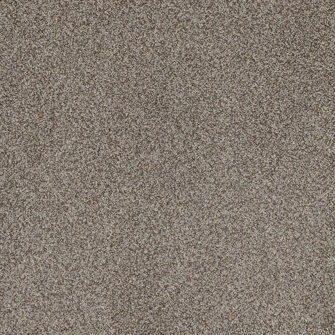 Phenix Floor Ever Pet Plus 12' Portofino Carpet Tile