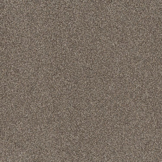 Phenix Floor Ever Pet Plus 12' Sorrento Carpet Tile