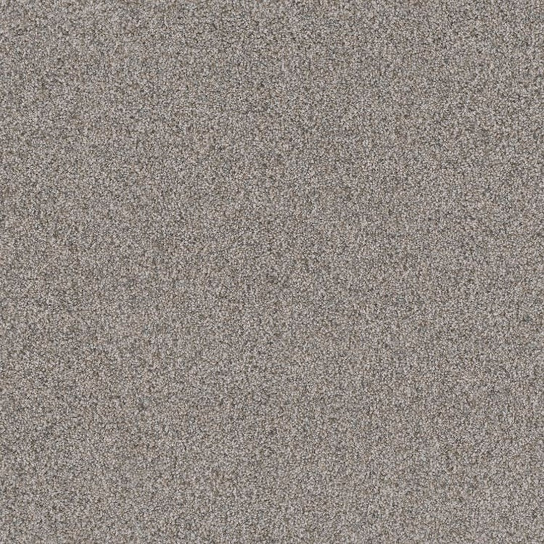 Phenix Floor Ever Pet Plus 12' Sorrento Carpet Tile