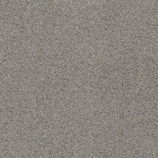 Phenix Floor Ever Pet Plus 12' Sorrento Carpet Tile