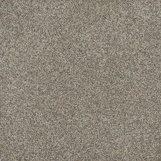 Phenix Floor Ever Pet Plus 12' Sorrento Carpet Tile