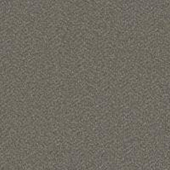 Phenix Floor Ever Pet Plus 12' Luna Carpet Tile