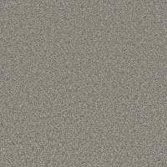 Phenix Floor Ever Pet Plus 12' Luna Carpet Tile