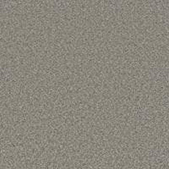 Phenix Floor Ever Pet Plus 12' Luna Carpet Tile