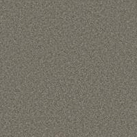 Phenix Floor Ever Pet Plus 12' Luna Carpet Tile