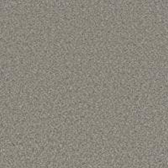 Phenix Floor Ever Pet Plus 12' Milo Carpet Tile