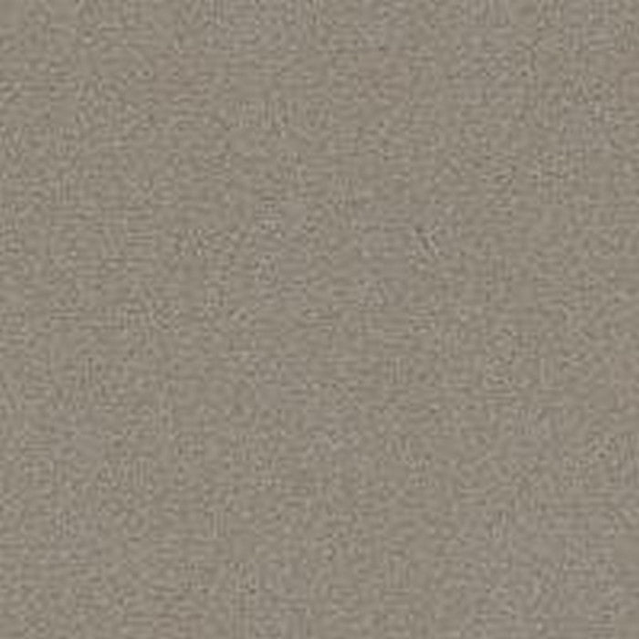 Phenix Floor Ever Pet Plus 12' Capri Carpet Tile