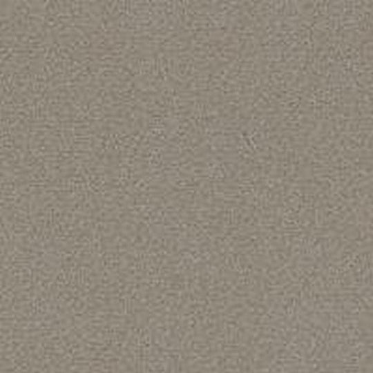 Phenix Floor Ever Pet Plus 12' Capri Carpet Tile