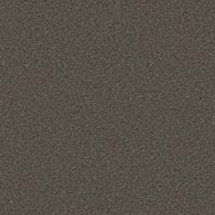 Phenix Floor Ever Pet Plus 12' Capri Carpet Tile