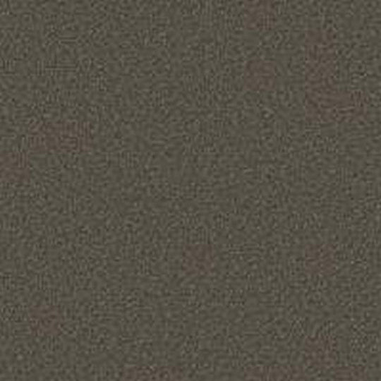 Phenix Floor Ever Pet Plus 12' Capri Carpet Tile