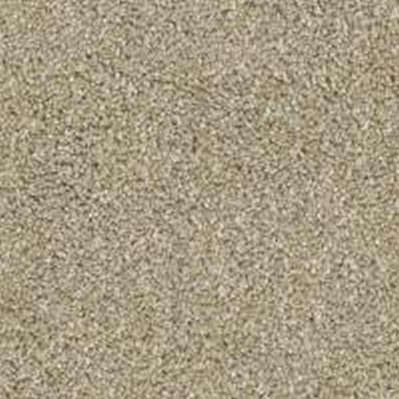 Phenix Floor Ever Pet Plus Crystal Cove 12' Carpet Tile