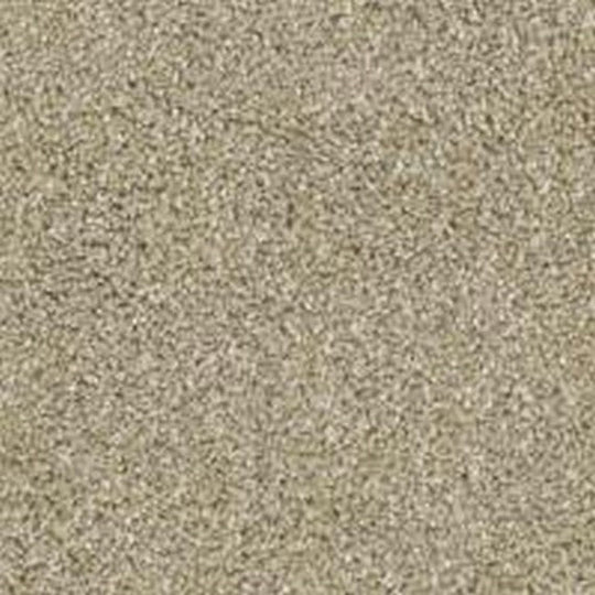 Phenix Floor Ever Pet Plus Crystal Cove 12' Carpet Tile