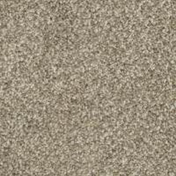 Phenix Floor Ever Pet Plus Crystal Cove 12' Carpet Tile