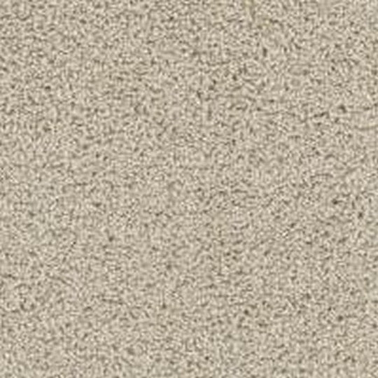 Phenix Floor Ever Pet Plus Crystal Cove 12' Carpet Tile