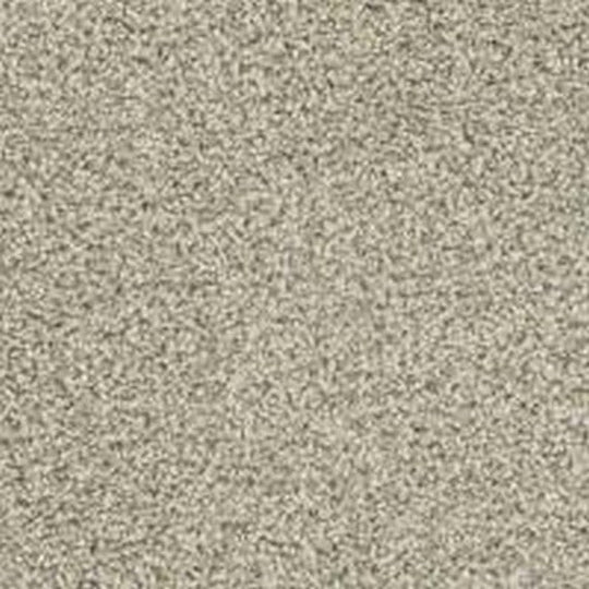 Phenix Floor Ever Pet Plus Crystal Cove 12' Carpet Tile