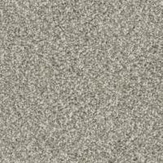 Phenix Floor Ever Pet Plus Crystal Cove 12' Carpet Tile