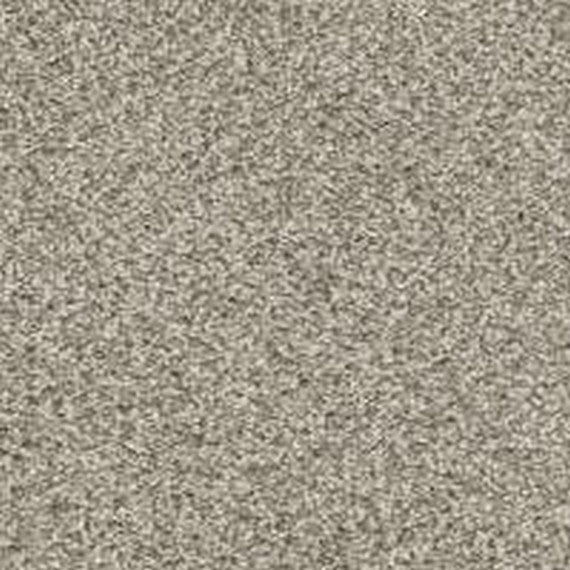 Phenix Floor Ever Pet Plus Crystal Cove 12' Carpet Tile