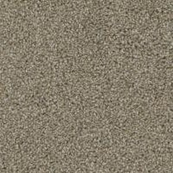 Phenix Floor Ever Pet Plus 12' Seaview Carpet Tile