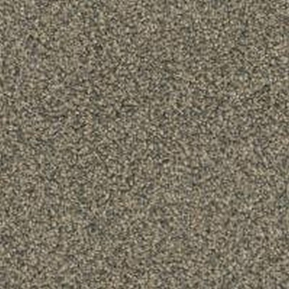 Phenix Floor Ever Pet Plus 12' Seaview Carpet Tile