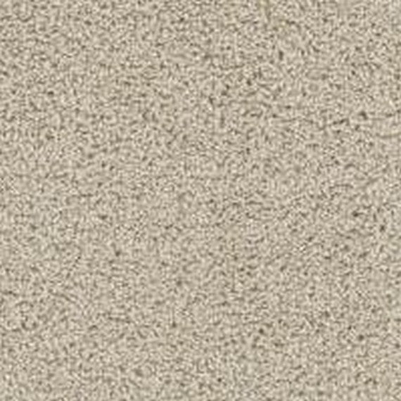 Phenix Floor Ever Pet Plus 12' Seaview Carpet Tile