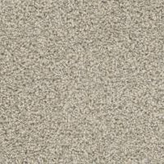 Phenix Floor Ever Pet Plus 12' Seaview Carpet Tile