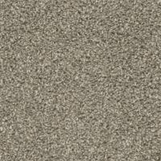 Phenix Floor Ever Pet Plus 12' Seaview Carpet Tile