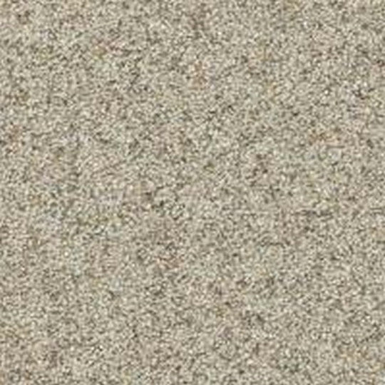 Phenix Floor Ever Pet Plus 12' Paxton Carpet Tile