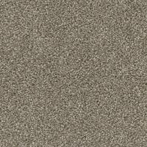 Phenix Floor Ever Pet Plus 12' Paxton Carpet Tile